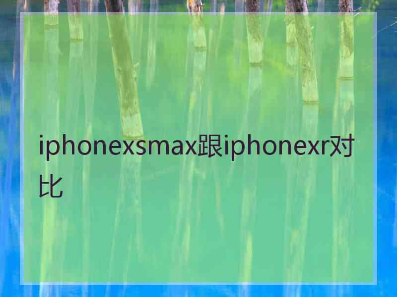 iphonexsmax跟iphonexr对比