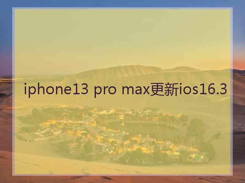 iphone13 pro max更新ios16.3