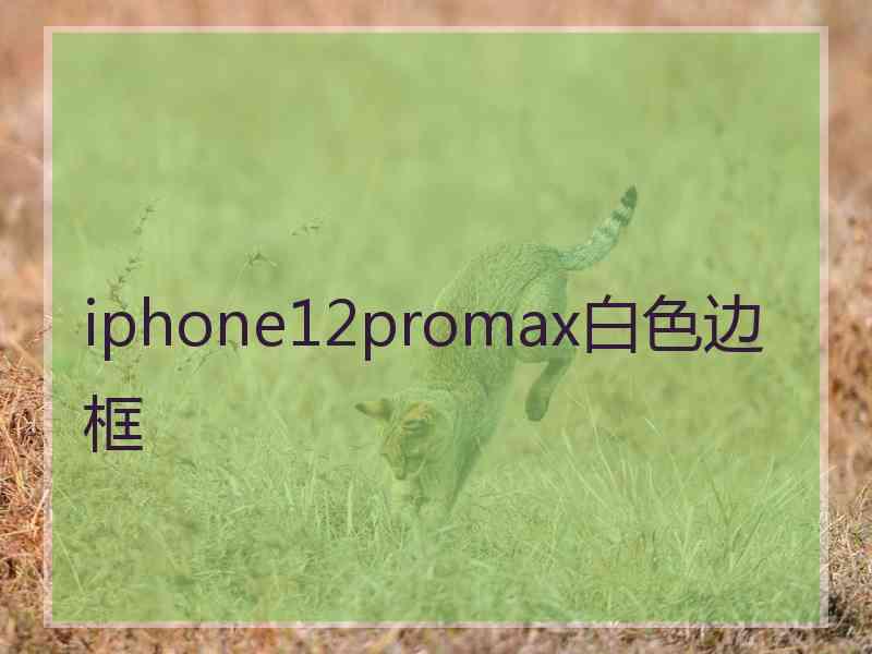 iphone12promax白色边框