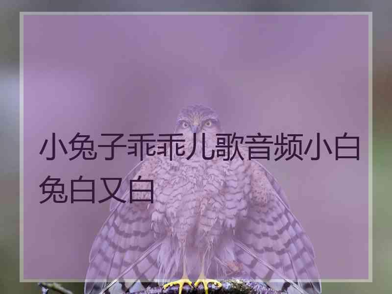 小兔子乖乖儿歌音频小白兔白又白