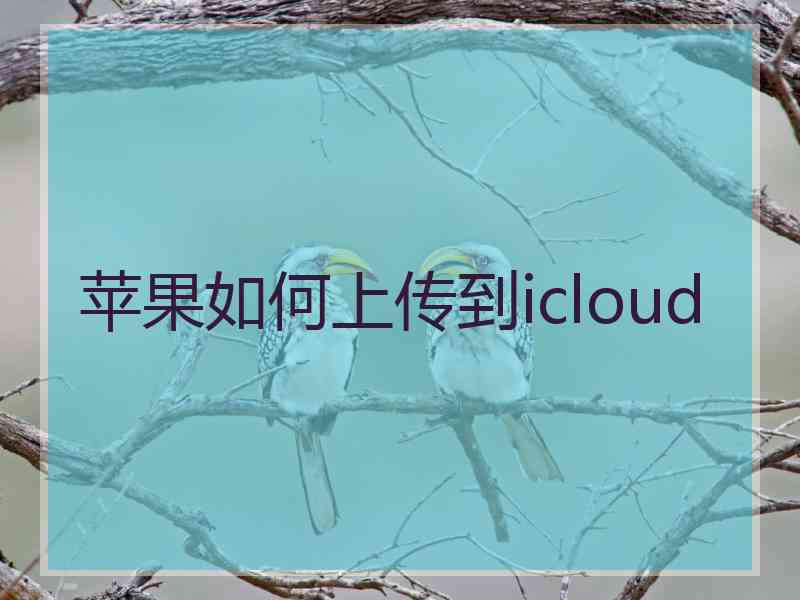 苹果如何上传到icloud