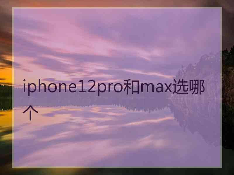 iphone12pro和max选哪个