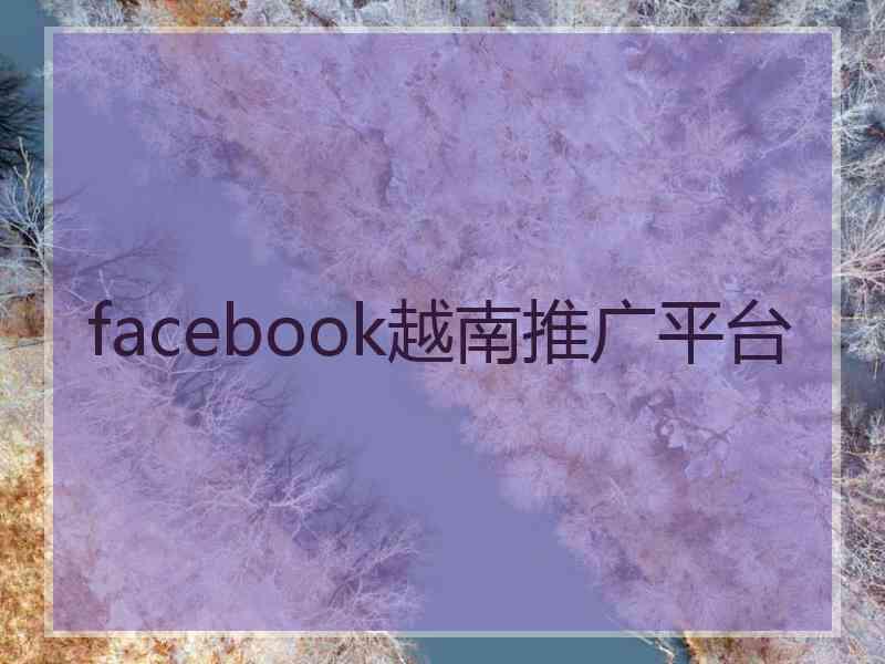 facebook越南推广平台