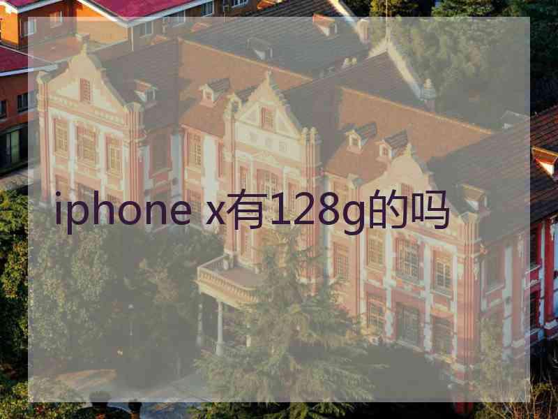 iphone x有128g的吗