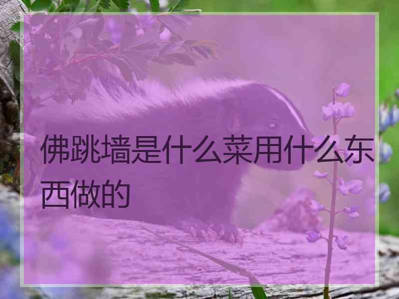 佛跳墙是什么菜用什么东西做的