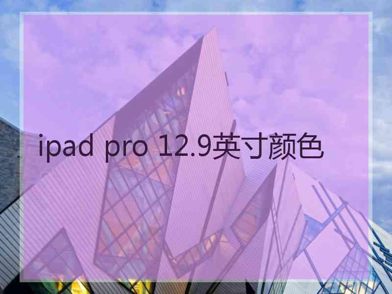 ipad pro 12.9英寸颜色