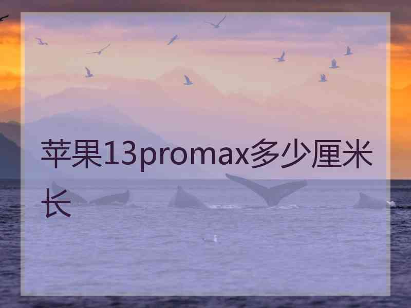 苹果13promax多少厘米长