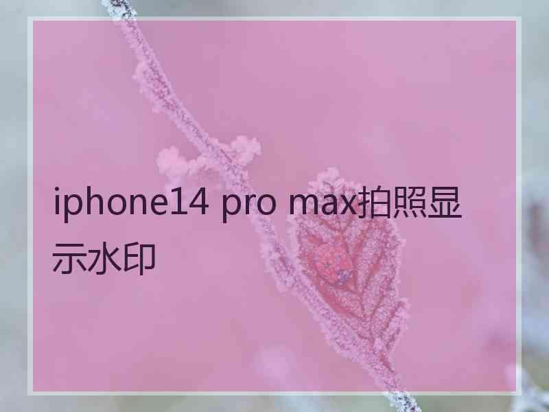 iphone14 pro max拍照显示水印