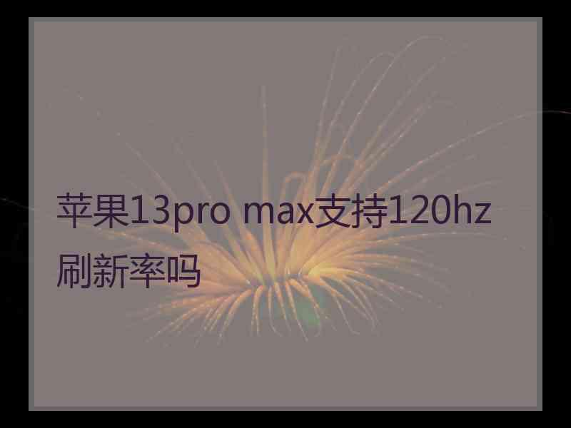 苹果13pro max支持120hz刷新率吗