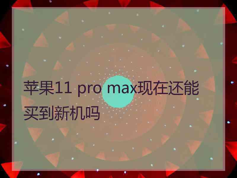 苹果11 pro max现在还能买到新机吗