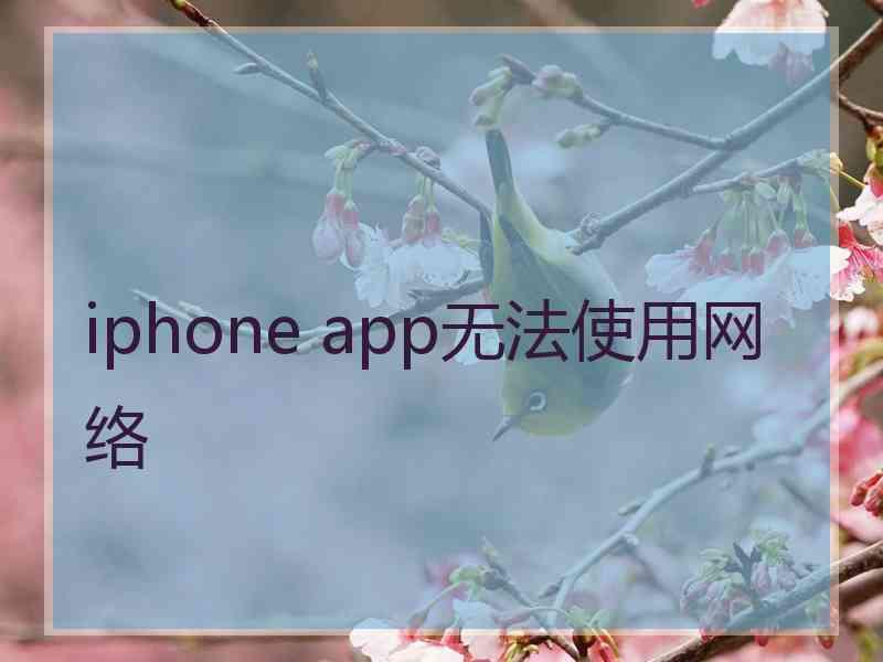 iphone app无法使用网络