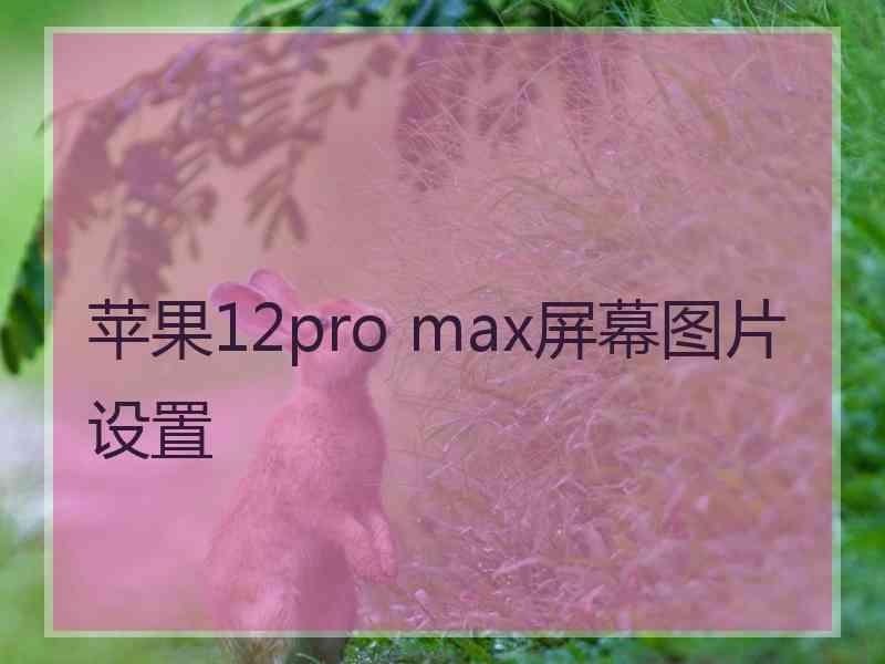 苹果12pro max屏幕图片设置