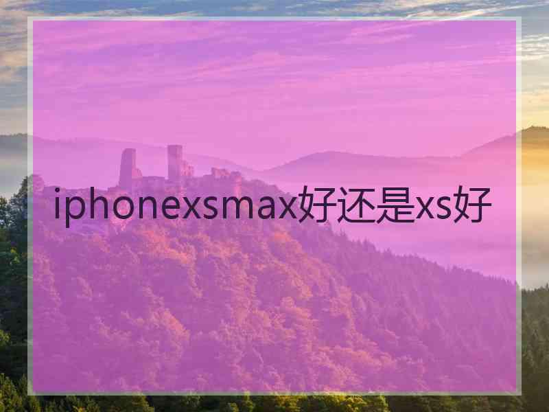 iphonexsmax好还是xs好