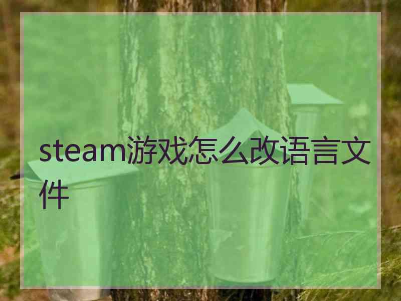 steam游戏怎么改语言文件