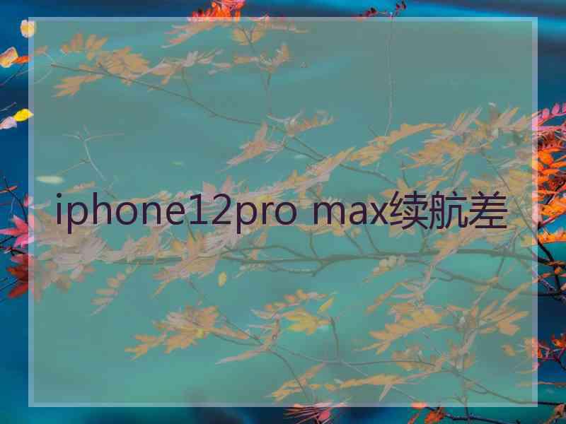 iphone12pro max续航差