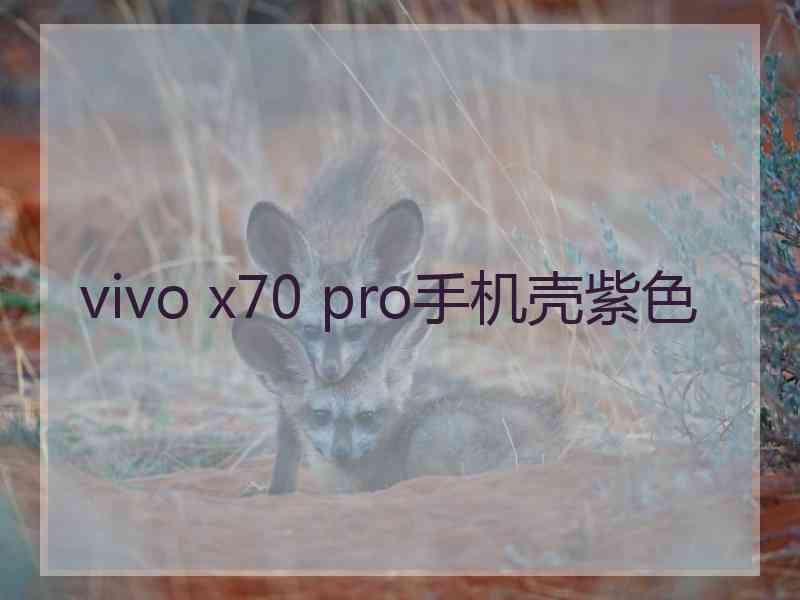 vivo x70 pro手机壳紫色