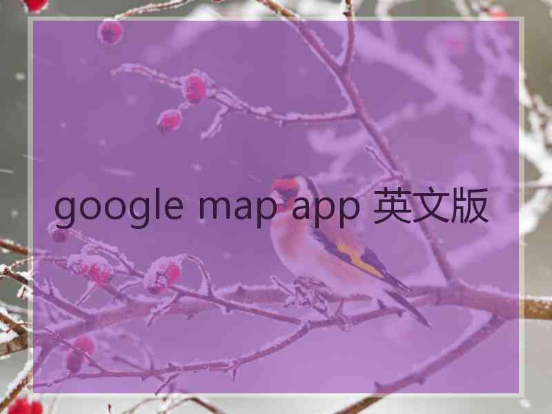 google map app 英文版