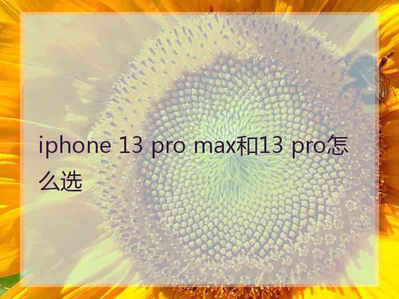 iphone 13 pro max和13 pro怎么选