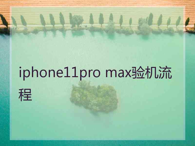 iphone11pro max验机流程