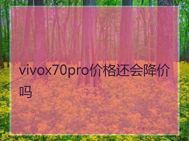 vivox70pro价格还会降价吗