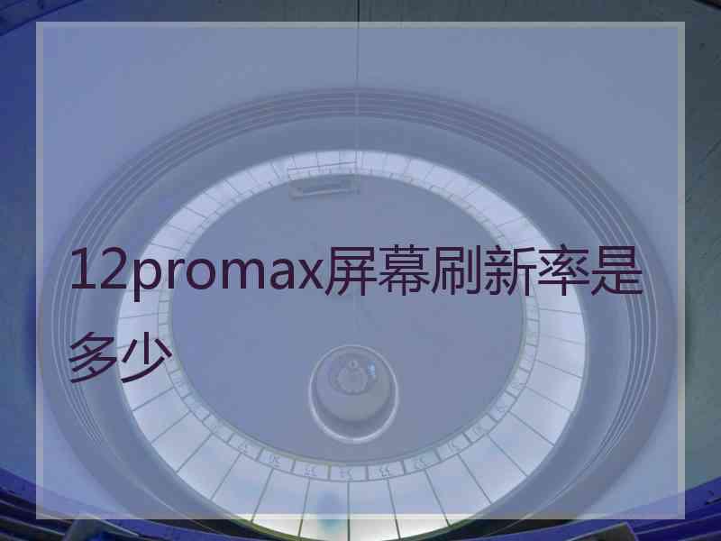 12promax屏幕刷新率是多少