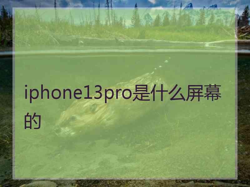 iphone13pro是什么屏幕的