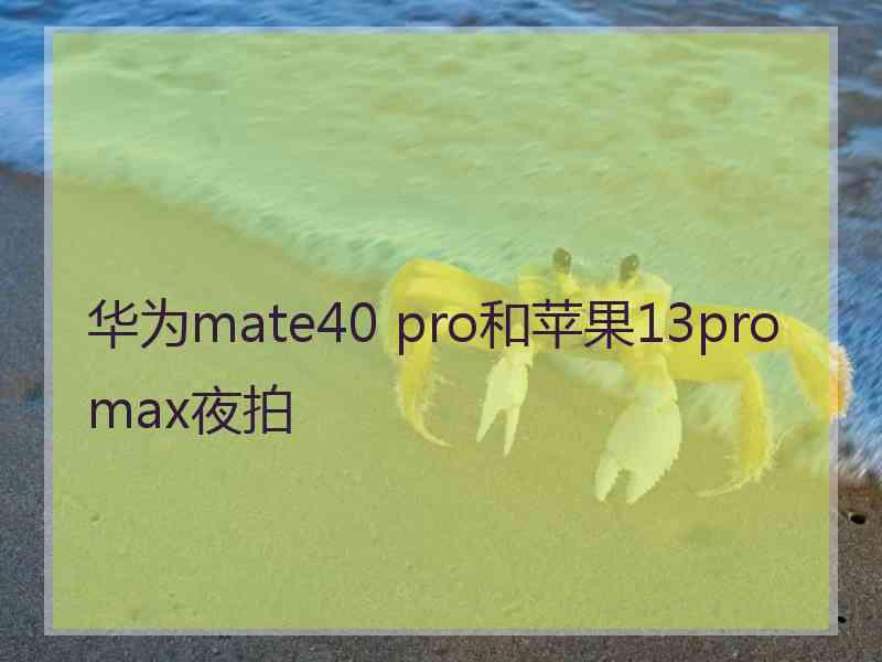 华为mate40 pro和苹果13promax夜拍