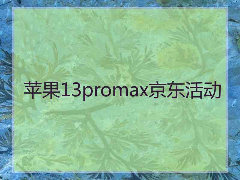 苹果13promax京东活动