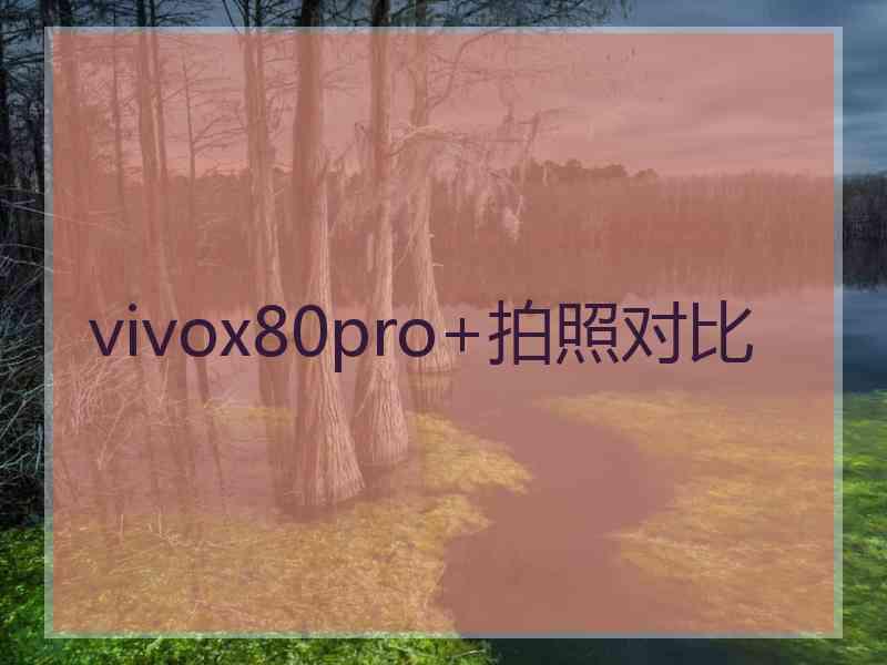 vivox80pro+拍照对比