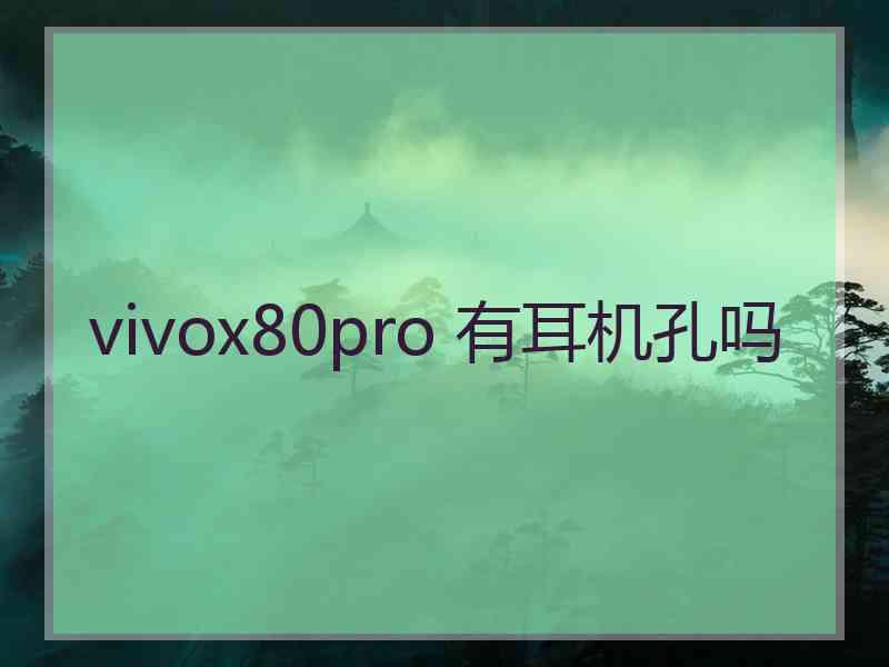 vivox80pro 有耳机孔吗