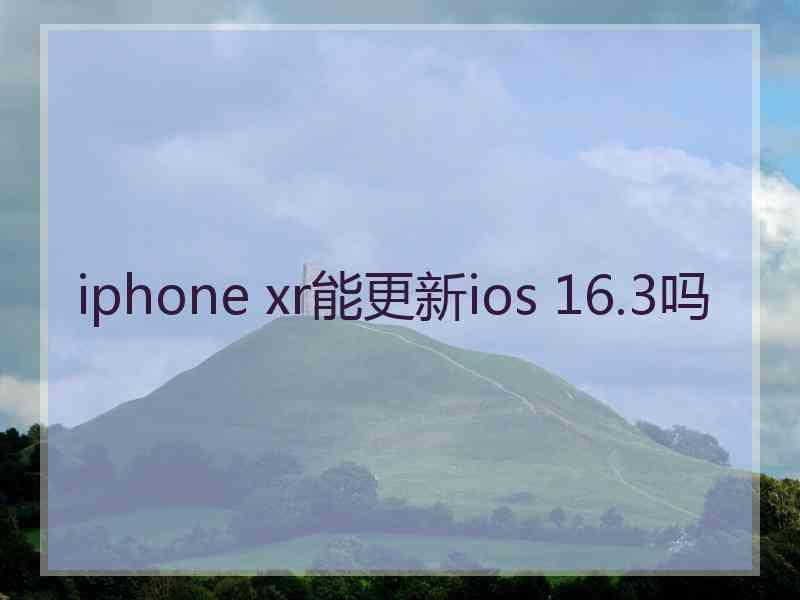 iphone xr能更新ios 16.3吗