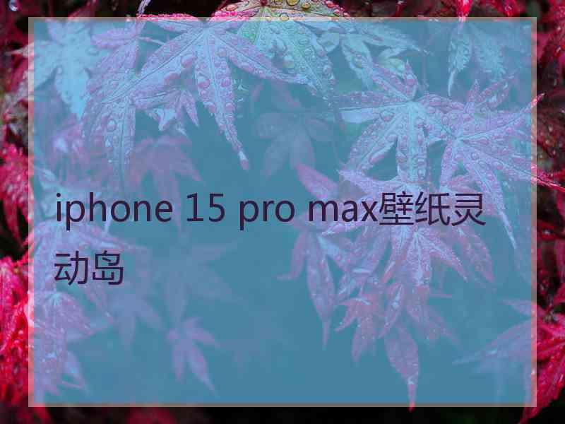 iphone 15 pro max壁纸灵动岛