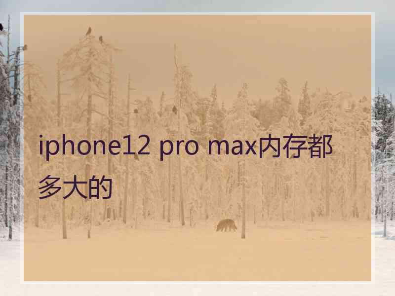 iphone12 pro max内存都多大的