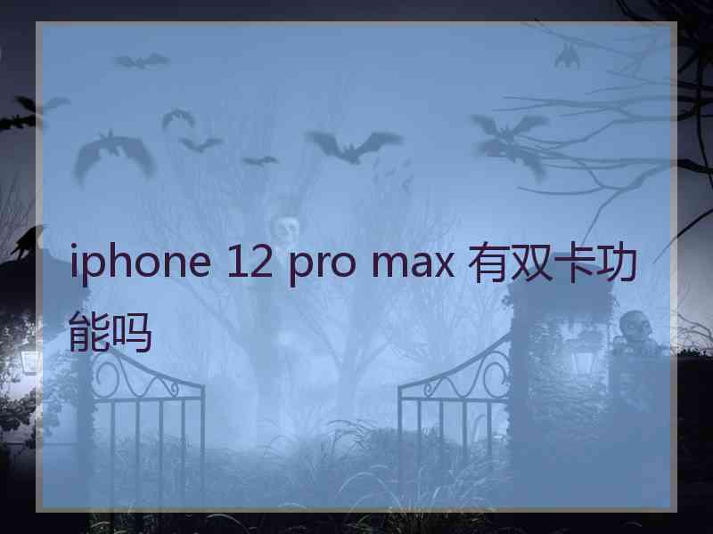 iphone 12 pro max 有双卡功能吗