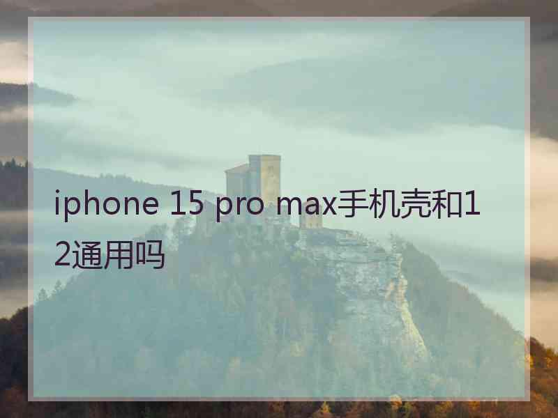 iphone 15 pro max手机壳和12通用吗