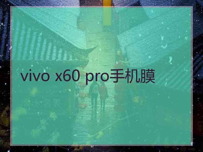 vivo x60 pro手机膜