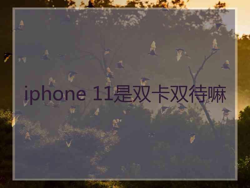 iphone 11是双卡双待嘛