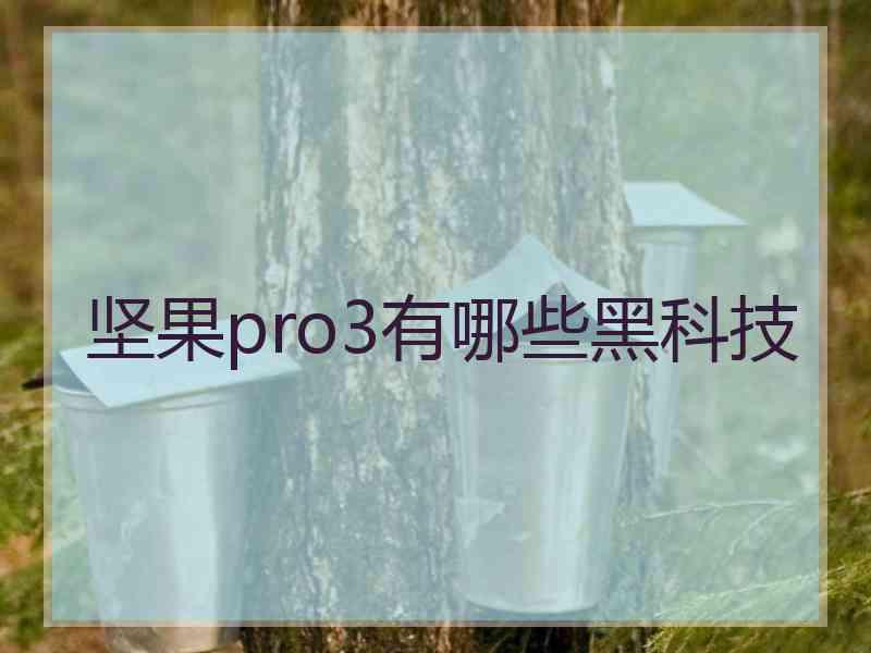 坚果pro3有哪些黑科技