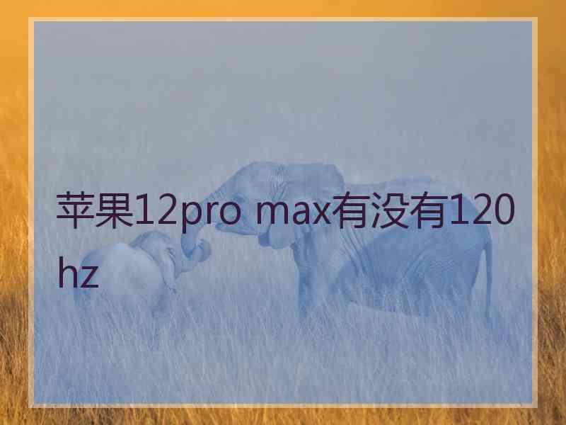 苹果12pro max有没有120hz