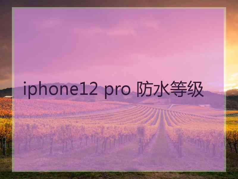 iphone12 pro 防水等级