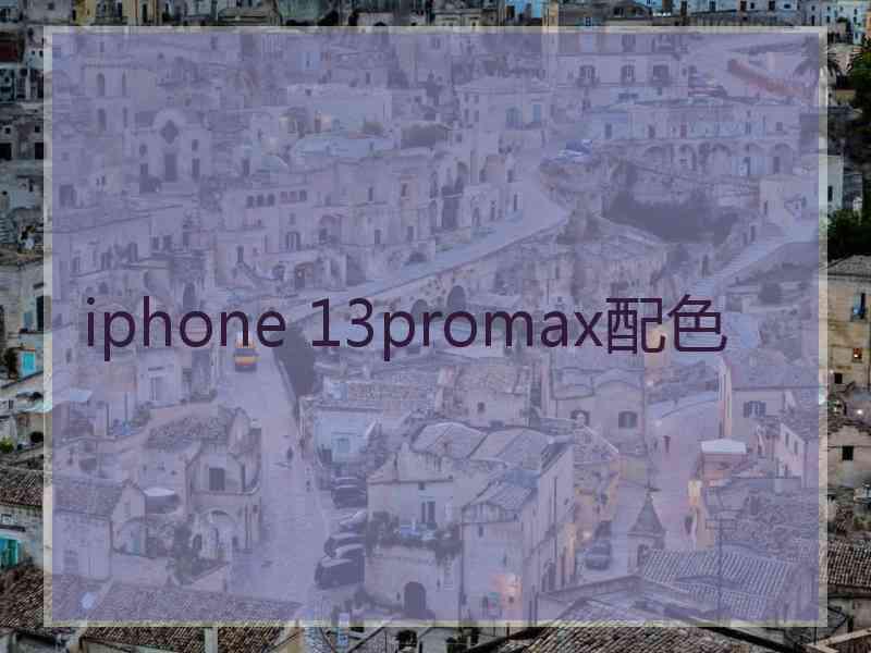 iphone 13promax配色