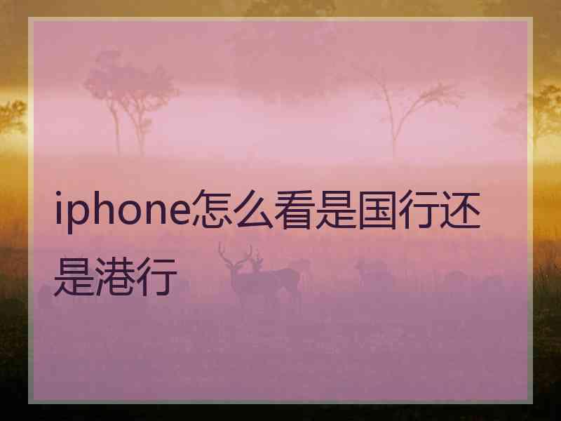 iphone怎么看是国行还是港行