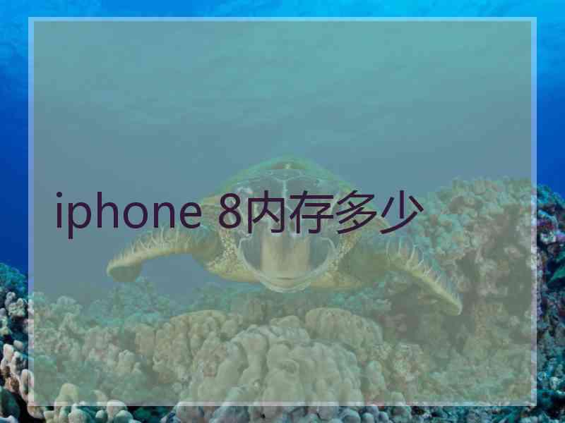 iphone 8内存多少