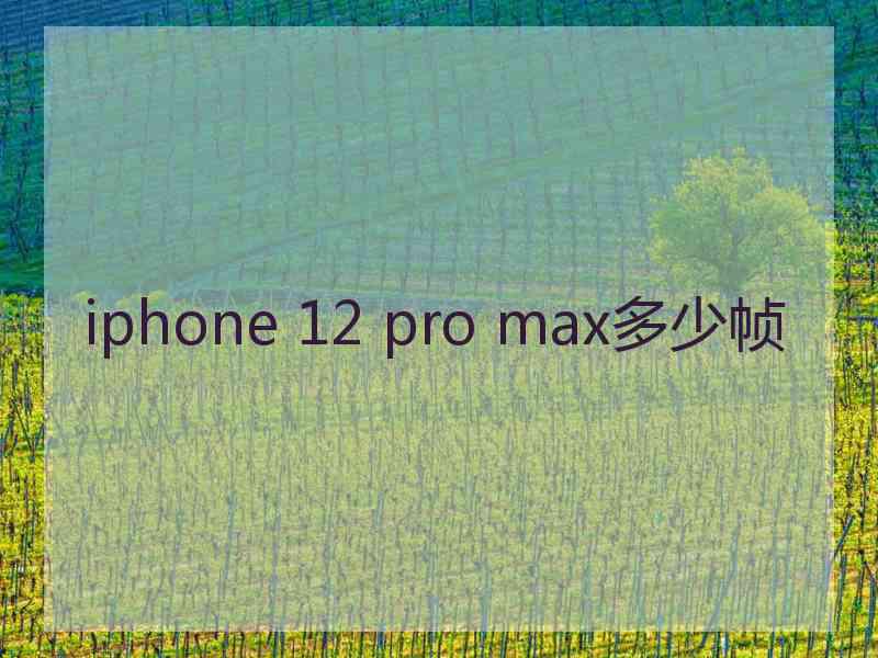 iphone 12 pro max多少帧