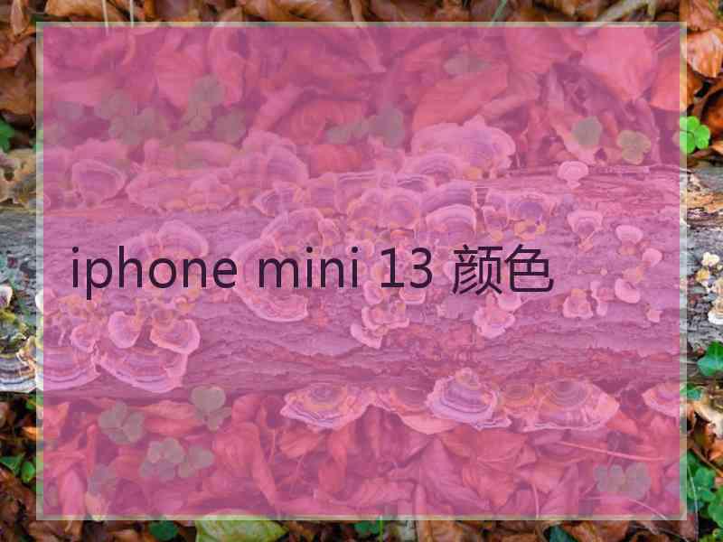 iphone mini 13 颜色