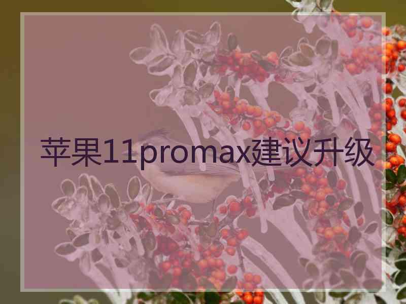 苹果11promax建议升级