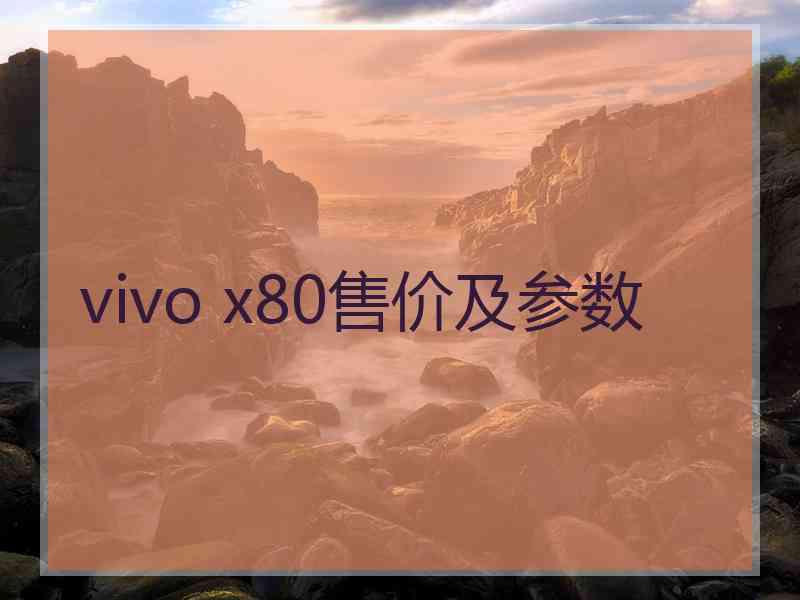 vivo x80售价及参数