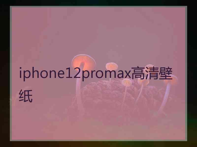 iphone12promax高清壁纸