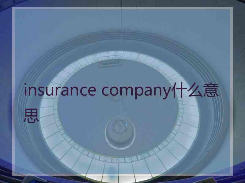 insurance company什么意思