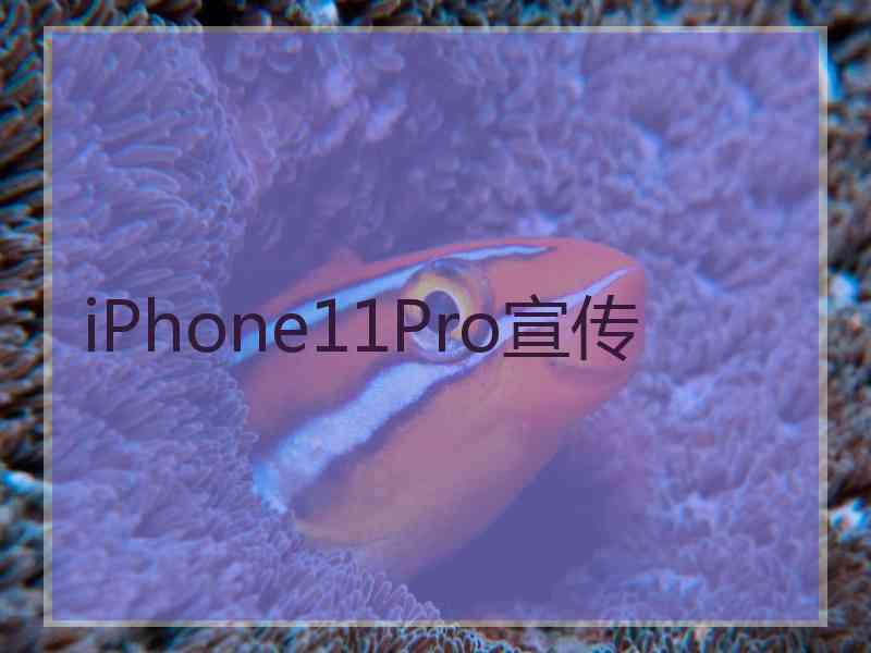 iPhone11Pro宣传